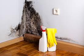 Mold Remediation for Rental Properties in Boulevard Park, WA